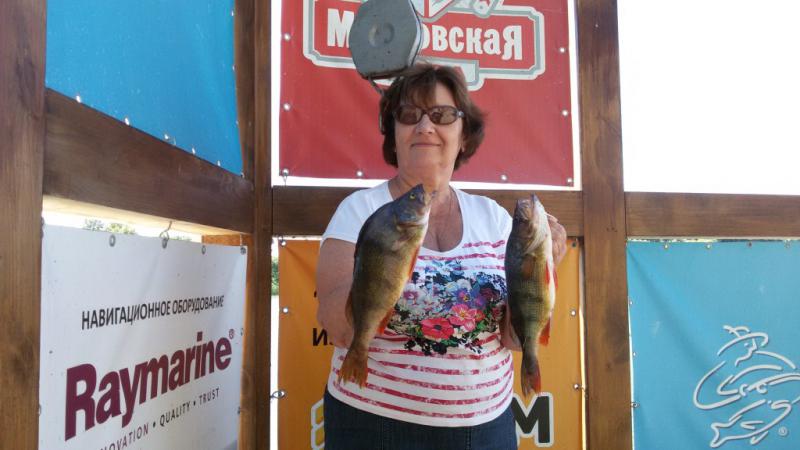 wms-reviews-vesna-prev