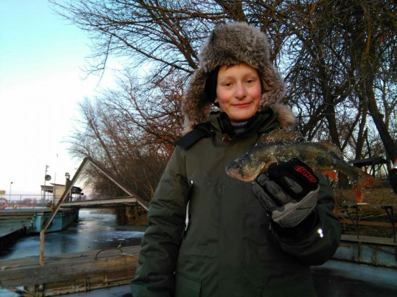 wms-reviews-vesna-prev