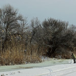 rybalka-vykhodnogo-dnja-17