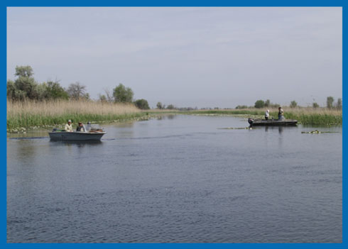 rybolovnyi-narkotik-11