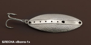 serebryanaya-blesna-3