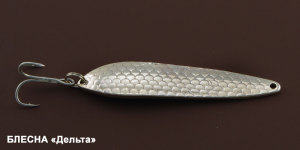 serebryanaya-blesna-7